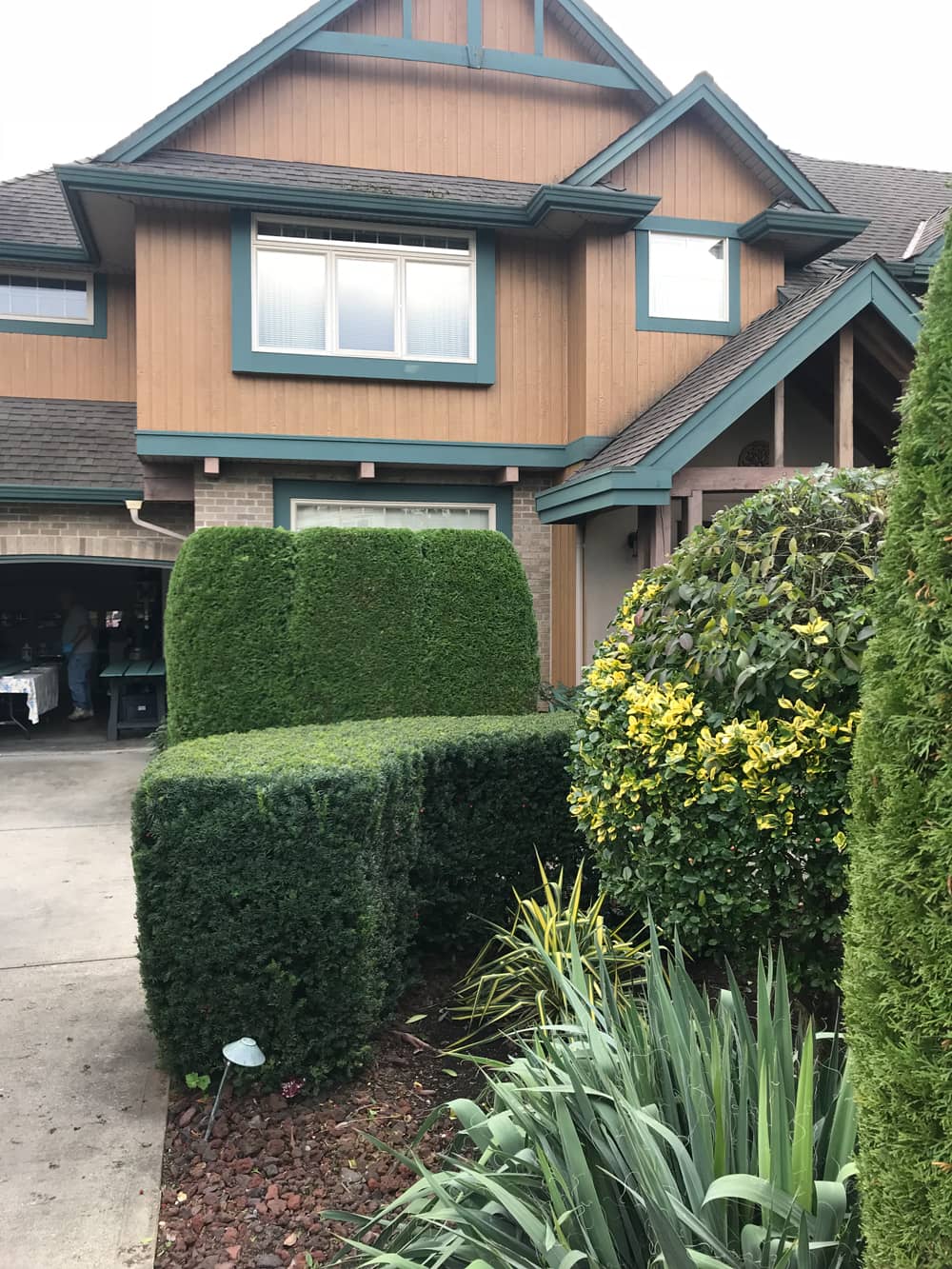 hedge removal curb appeal