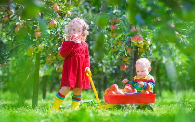 We Love Apple Trees!