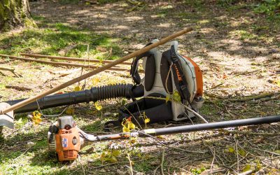 Time For a Spring Yard Cleanup