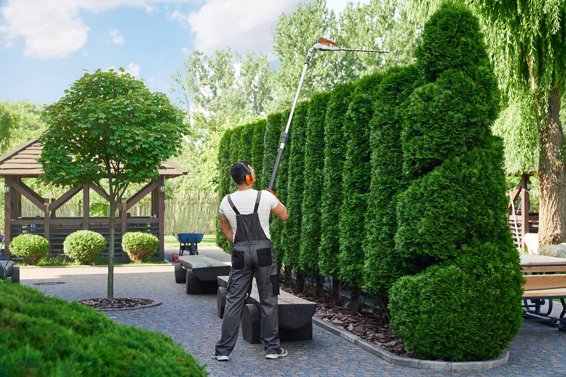 featuredimage-Pine-Valley’s-Hedge-Shaping-Services