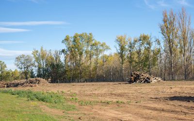 Enhancing Land Usability: Land Clearing Services in Southcentral BC