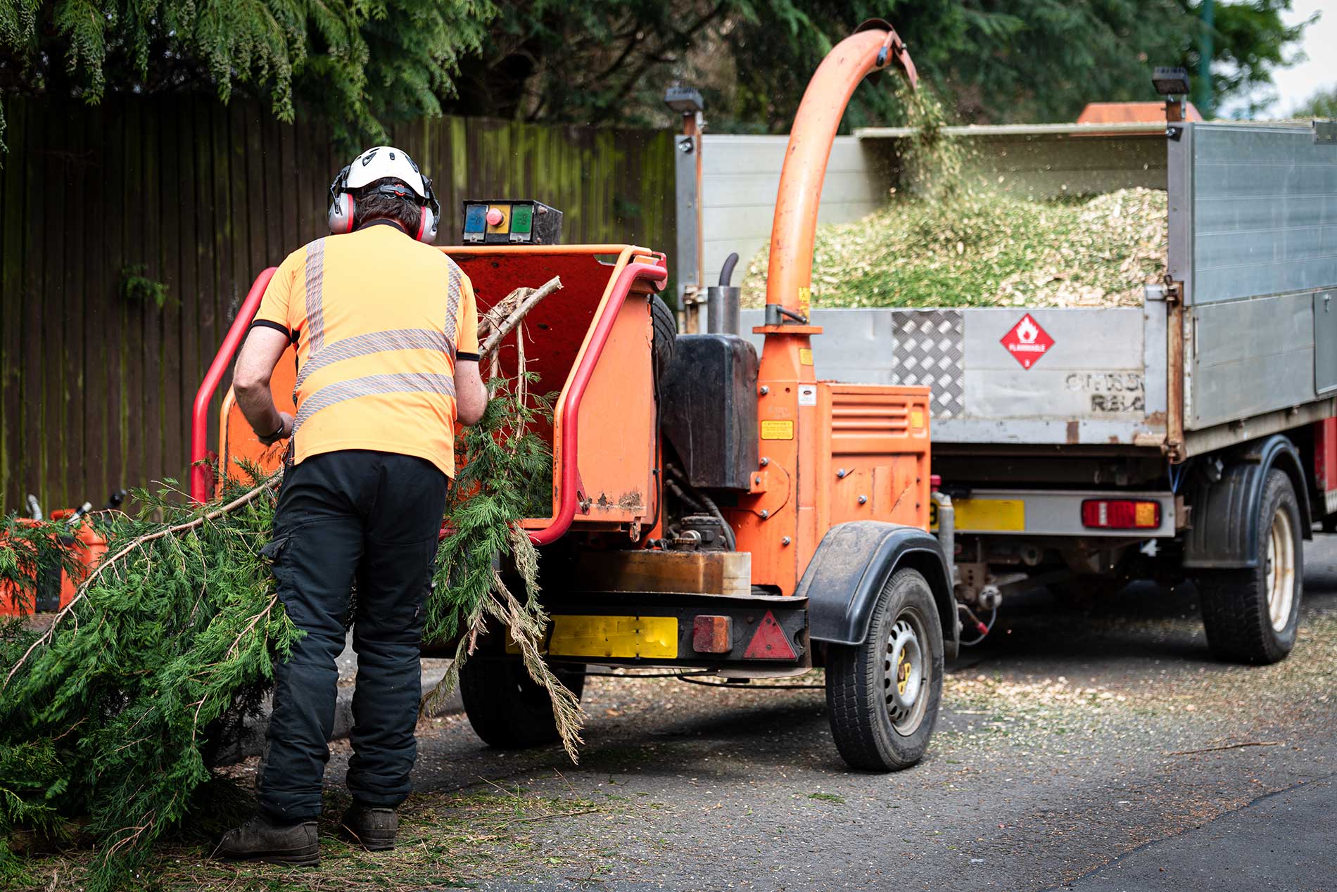 landscaping technician getting rid of tree branches