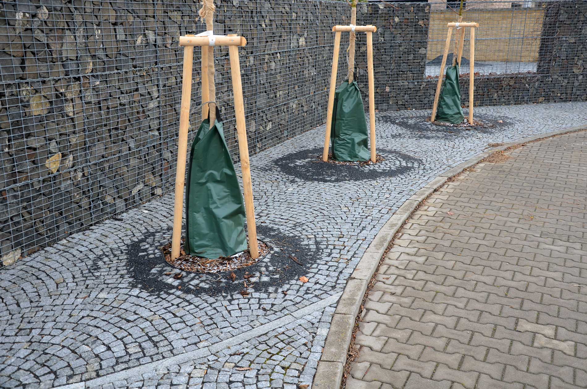 street alleys irrigated with the help of plastic bags